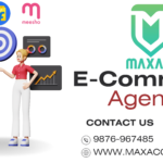 Maximize Your E-commerce Potential with MAXACC: Tricity’s Trusted Partner For Amazon,Flipkart & Meesho!!